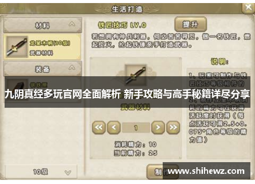 九阴真经多玩官网全面解析 新手攻略与高手秘籍详尽分享