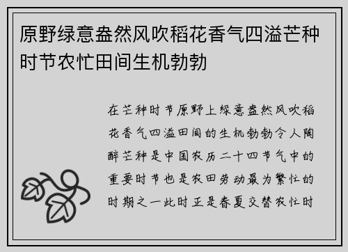 原野绿意盎然风吹稻花香气四溢芒种时节农忙田间生机勃勃